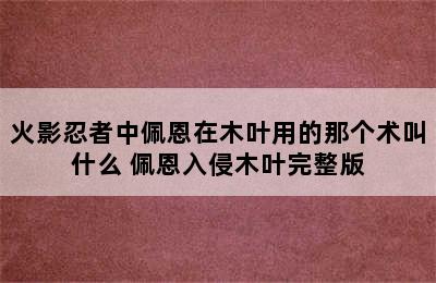 火影忍者中佩恩在木叶用的那个术叫什么 佩恩入侵木叶完整版